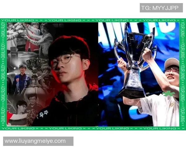 南京篮球队的蜕变之路：从传统强队到现代竞技新星的崛起